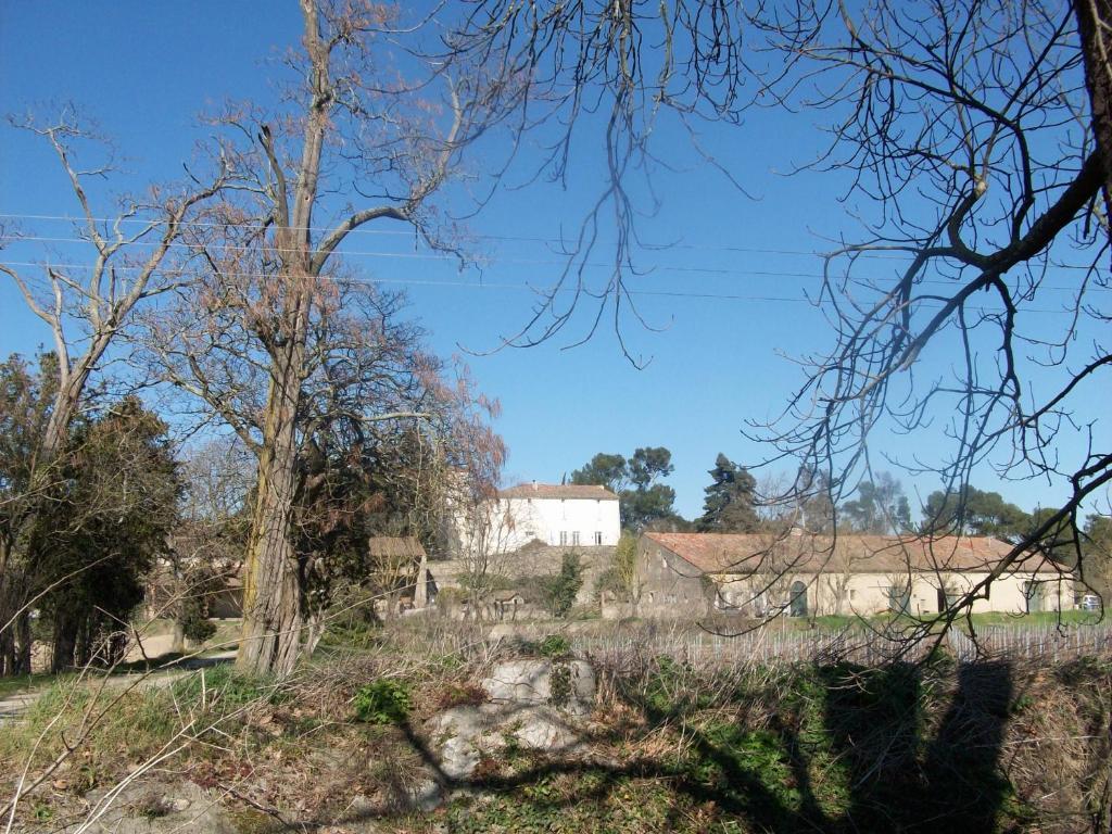Le Domaine Du Chapitre Carcassonne